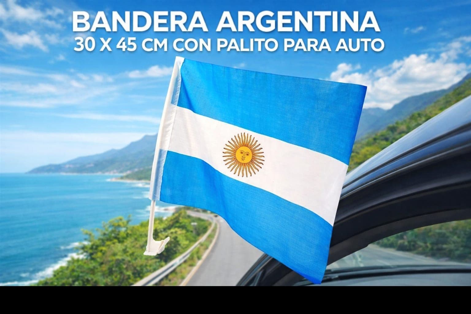 Bandera argentina c/palito para auto